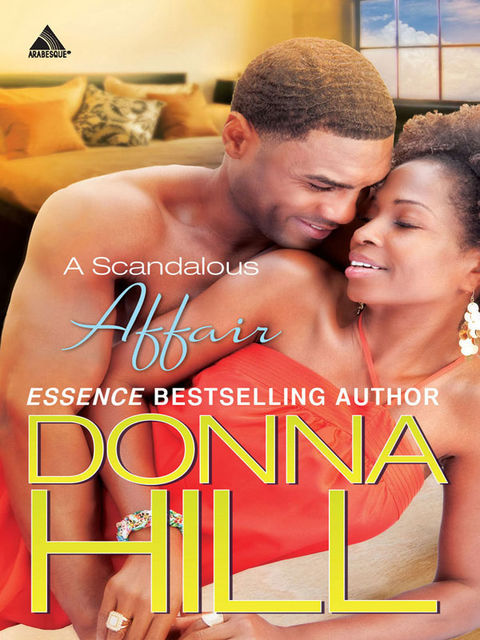 A Scandalous Affair, Donna Hill
