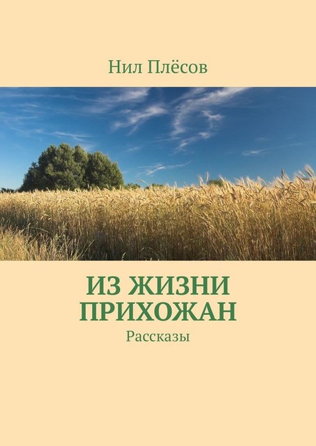 Из жизни прихожан, Нил Плёсов