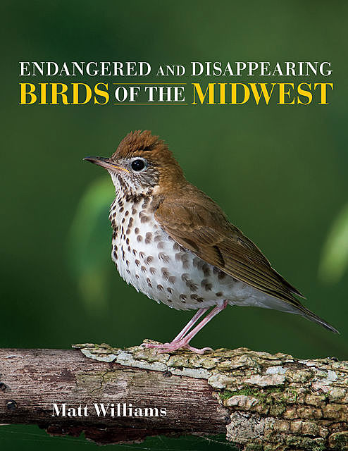 Endangered and Disappearing Birds of the Midwest, Matt Williams