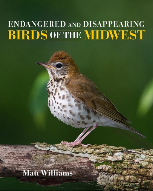 Endangered and Disappearing Birds of the Midwest, Matt Williams