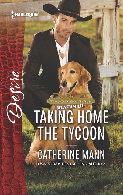 Taking Home the Tycoon, Catherine Mann