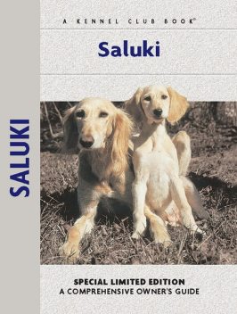 Saluki, Ann Chamberlain