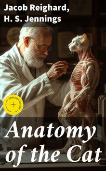 Anatomy of the Cat, H.S. Jennings, Jacob Reighard