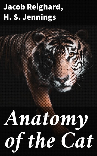 Anatomy of the Cat, H.S. Jennings, Jacob Reighard