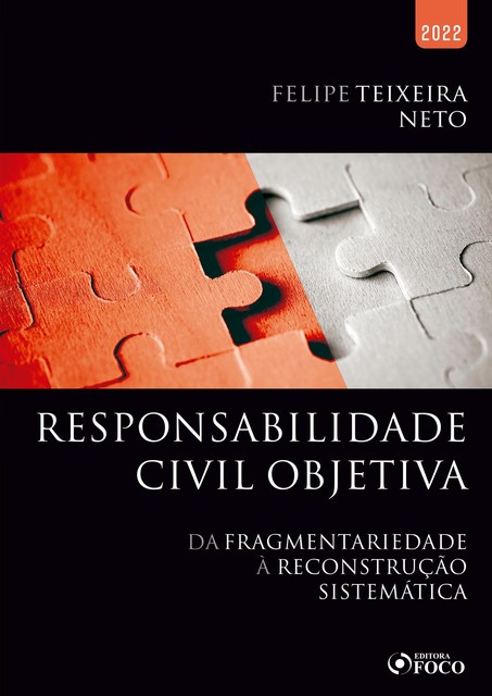 Responsabilidade civil objetiva, Felipe Teixeira Neto