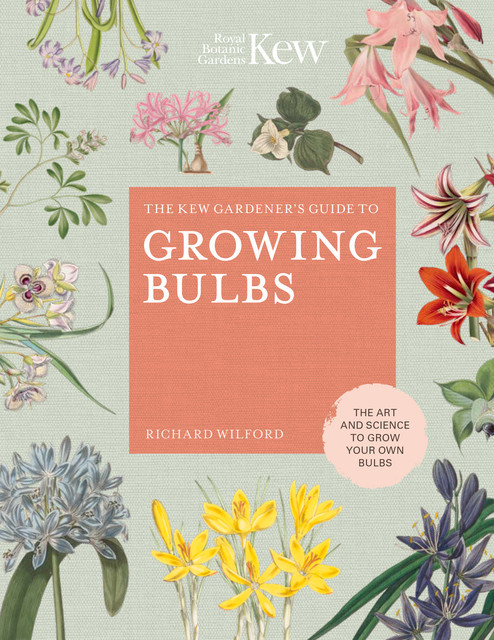The Kew Gardener's Guide to Growing Bulbs, Richard Wilford, Kew Royal Botanic Gardens
