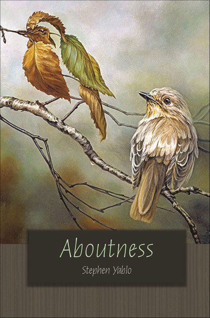 Aboutness, Stephen Yablo