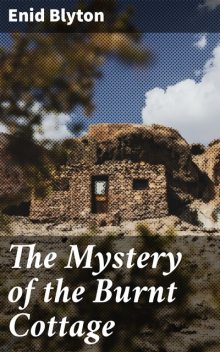 The Mystery of the Burnt Cottage, Enid Blyton