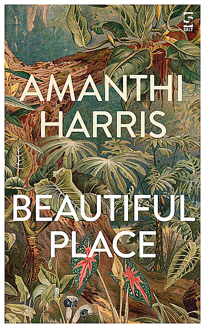 Beautiful Place, Amanthi Harris
