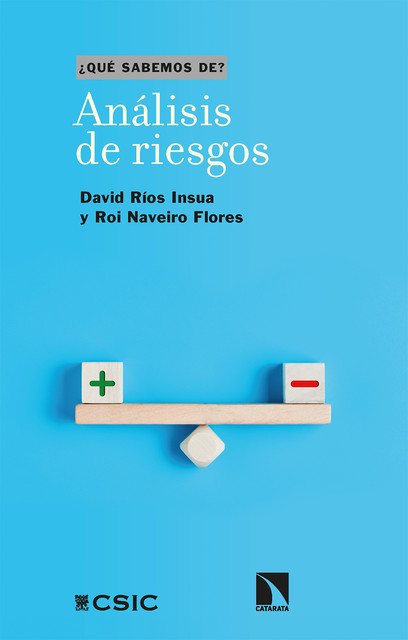 Análisis de riesgos, David Ríos Insúa, Roi Naveiro Flores