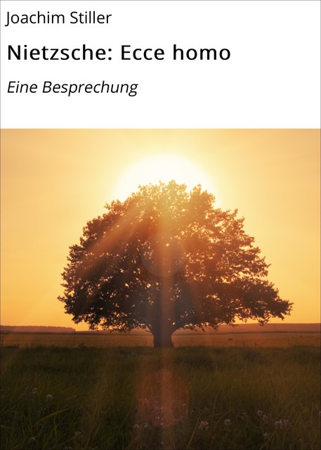 Nietzsche: Ecce homo, Joachim Stiller