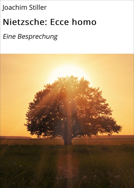 Nietzsche: Ecce homo, Joachim Stiller