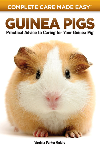 Guinea Pigs, Virginia Parker Guidry