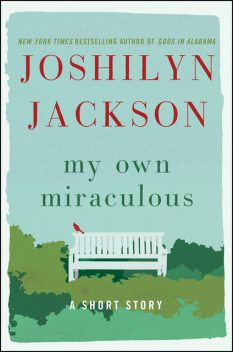 My Own Miraculous, Joshilyn Jackson