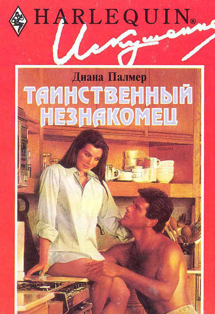 Таинственный незнакомец, Диана Палмер