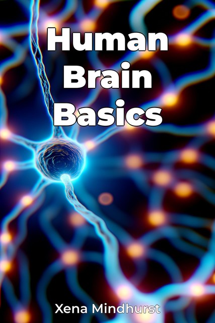 Human Brain Basics, Xena Mindhurst