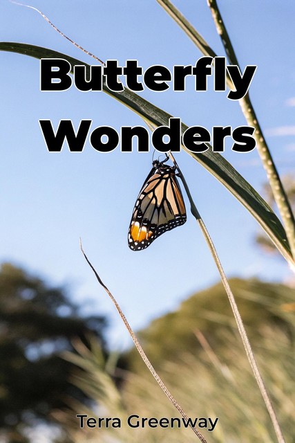 Butterfly Wonders, Terra Greenway