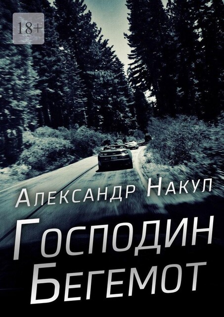 Господин Бегемот, Александр Накул