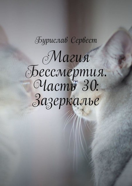 Магия Бессмертия. Часть 30: Зазеркалье, Бурислав Сервест