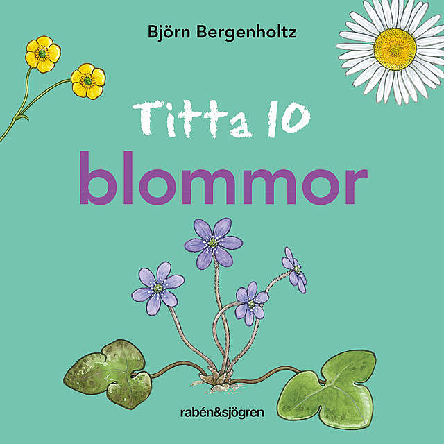 Titta 10 blommor, Björn Bergenholtz