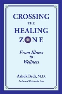 Crossing the Healing Zone, Ashok Bedi