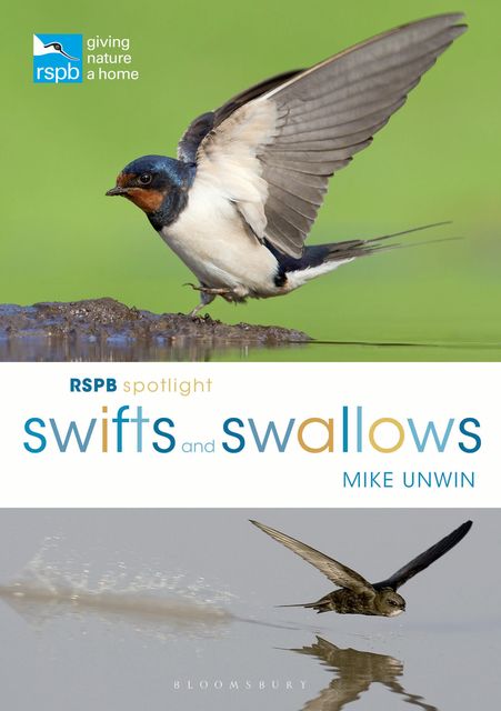 RSPB Spotlight Swifts and Swallows, Mike Unwin