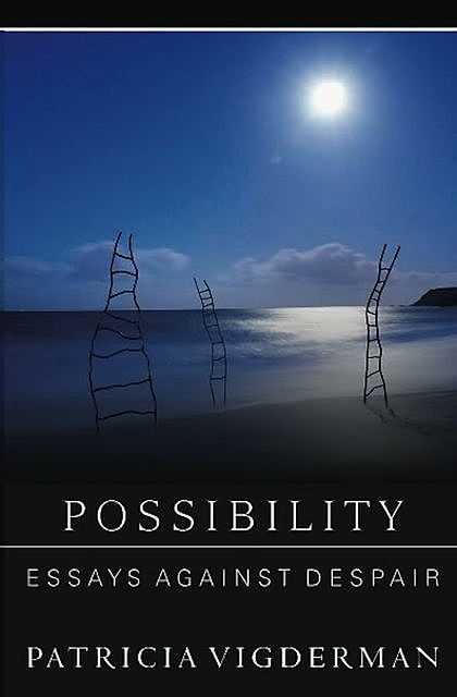 Possibility, Patricia Vigderman