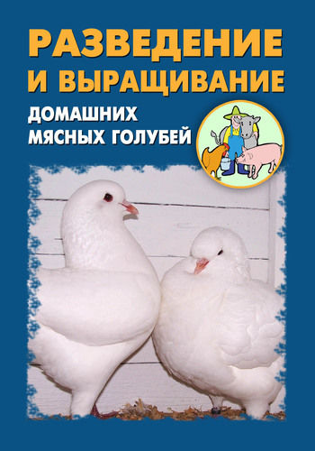 Разведение и выращивание домашних мясных голубей, Илья Мельников