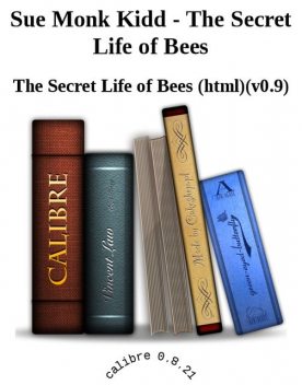 The Secret Life of Bees, Sue Monk Kidd