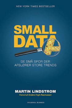 Small data, Martin Lindstrom