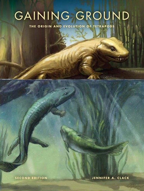 Gaining Ground, Jennifer A.Clack