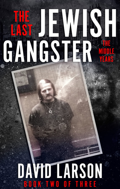 The Last Jewish Gangster: The Middle Years, David Larson