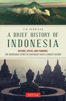 Brief History of Indonesia, Tim Hannigan