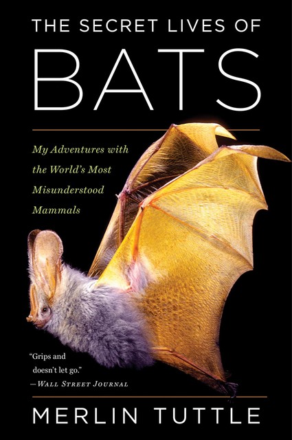 The Secret Lives of Bats, Merlin Tuttle
