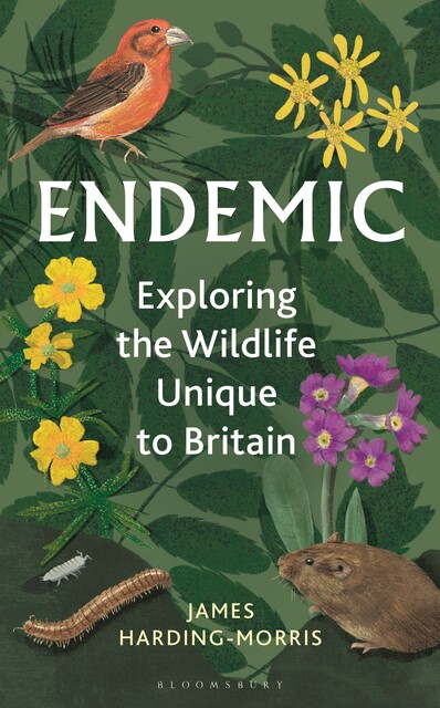 Endemic, James Harding-Morris