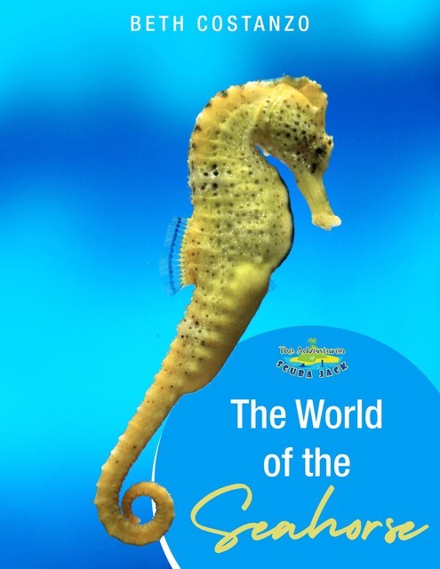 Seahorse Activity Workbook For Kids ages 4–8, Beth Costanzo