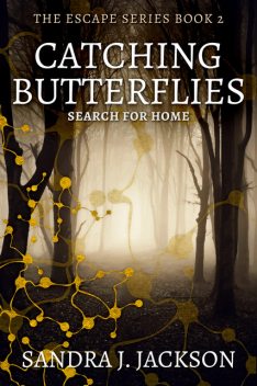 Catching Butterflies, Sandra J. Jackson