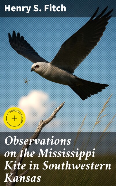 Observations on the Mississippi Kite in Southwestern Kansas, Henry S.Fitch