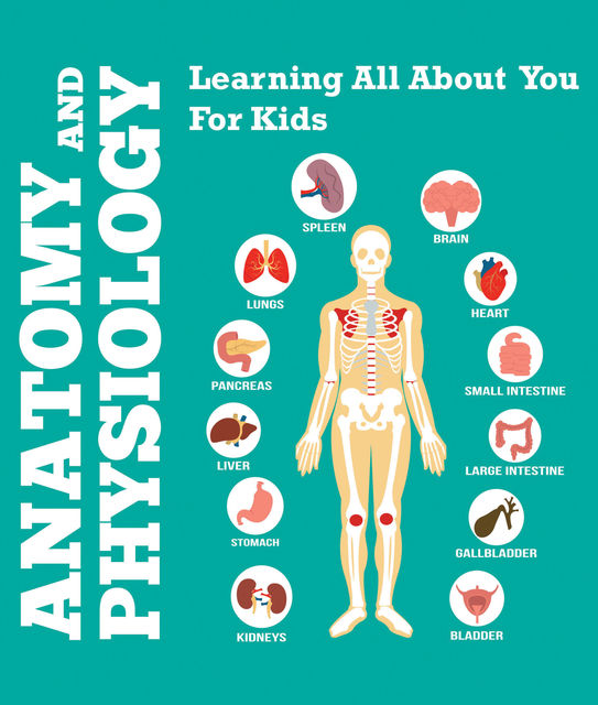 Anatomy And Physiology: Learning All About You For Kids, Speedy Publishing LLC