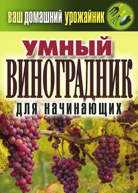 Умный виноградник для начинающих, Екатерина Животовская