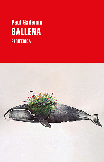 Ballena, Paul Gadenne