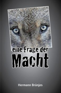 Eine Frage der Macht, Hermann Brünjes
