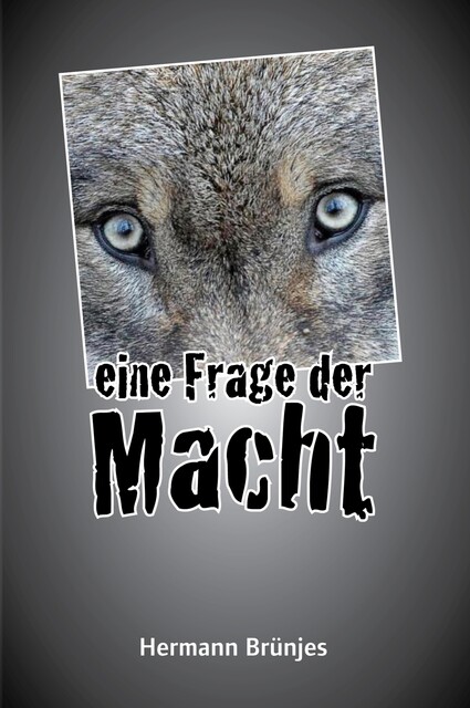 Eine Frage der Macht, Hermann Brünjes