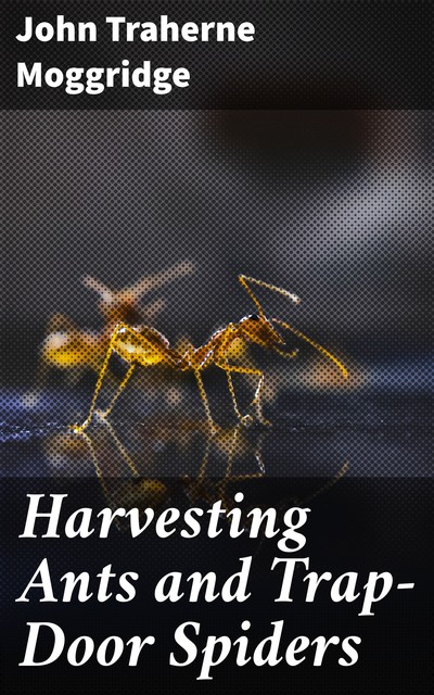 Harvesting Ants and Trap-Door Spiders, John Traherne Moggridge
