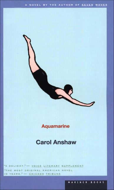 Aquamarine, Carol Anshaw