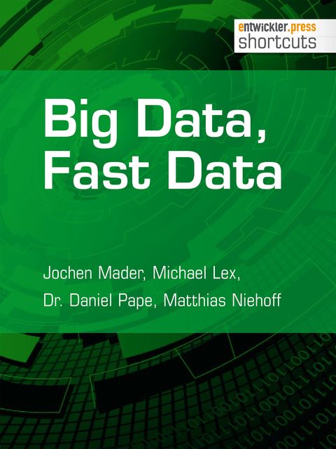 Big Data, Fast Data, Jochen Mader, Daniel Pape, Matthias Niehoff, Michael Lex