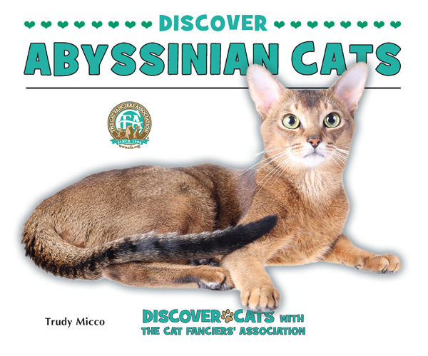 Discover Abyssinian Cats, Trudy Micco