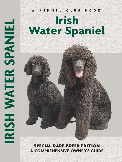 Irish Water Spaniel, Marion Hopkins