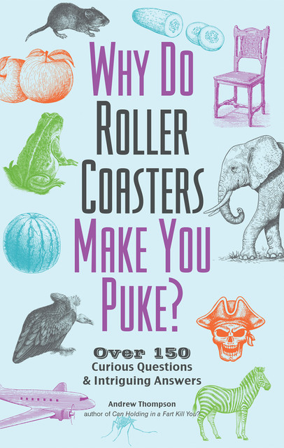 Why Do Roller Coasters Make You Puke, Andrew Thompson
