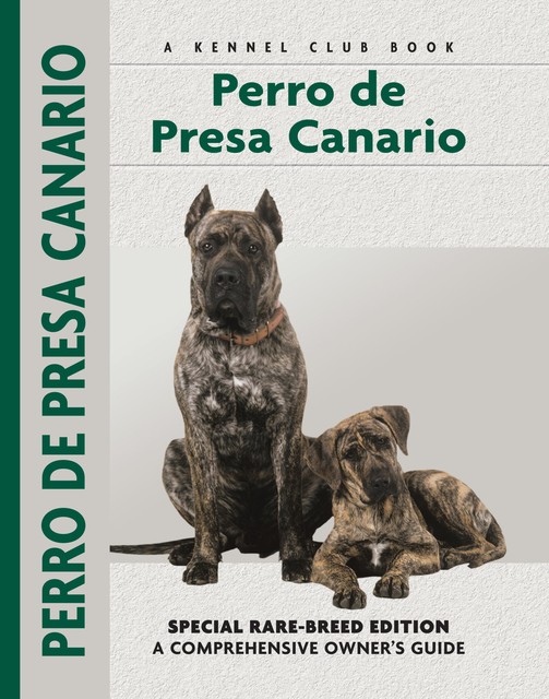 Perro De Presa Canario, Manuel Curto Gracia